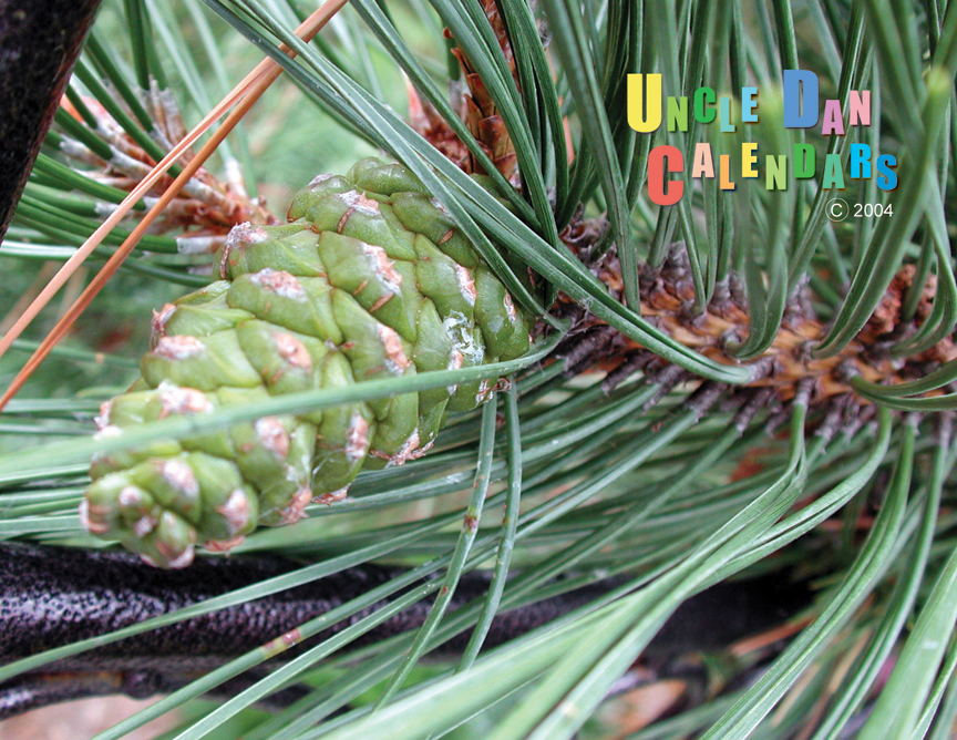 gal/1999 - 2013 Calendars/200413_back.jpg